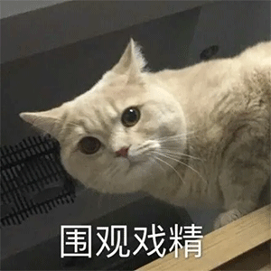 老色批出来吧