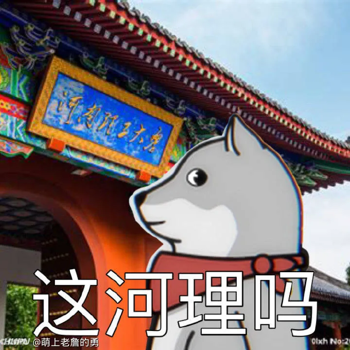 跪求这河里吗的狗头壁纸 第2页 步行街主干道 虎扑社区 跪求这河里吗的狗头壁纸 第2页 步行街主干道 虎扑社区