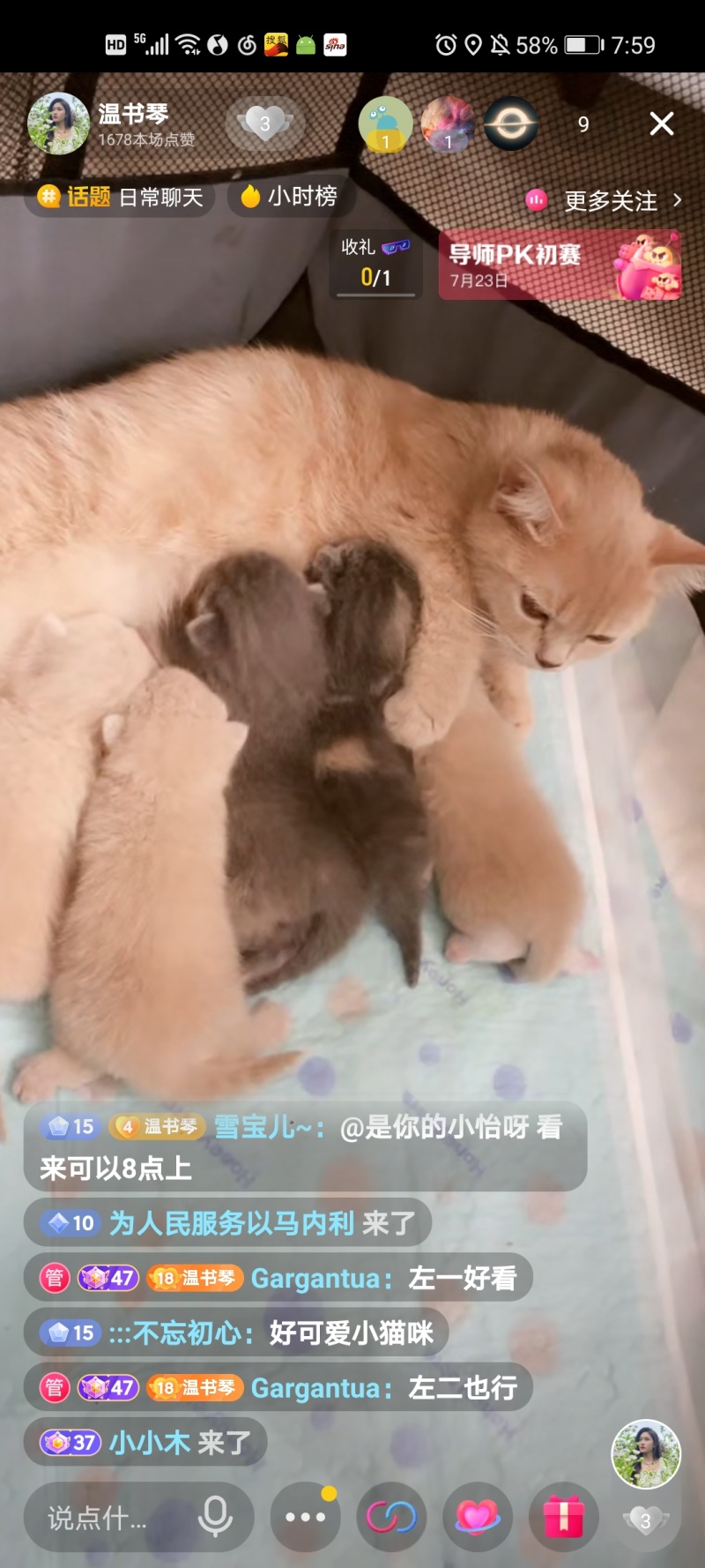 你觉得猫科动物和犬科动物谁更厉害 虎扑 你觉得猫科动物和犬科动物谁更厉害 虎扑