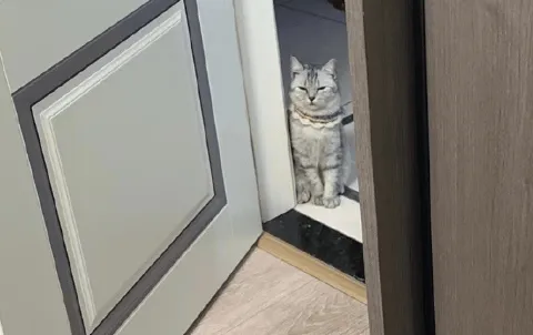 众神の崛起