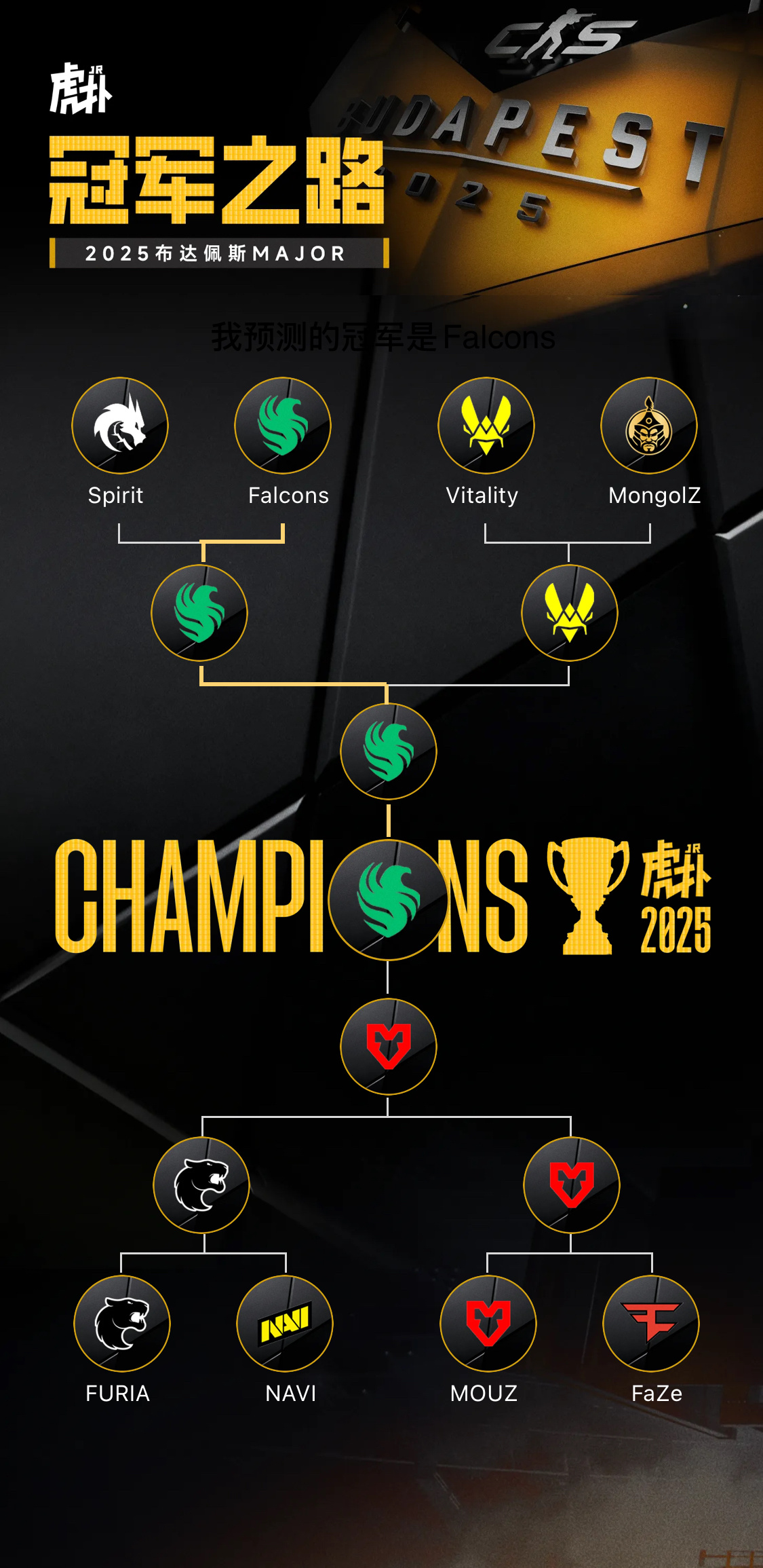 let's go falcons!-CS2-虎扑社区