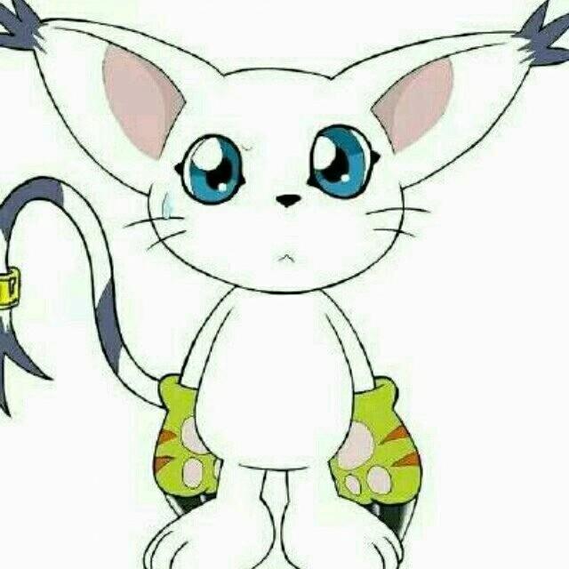 discusser-avatar
