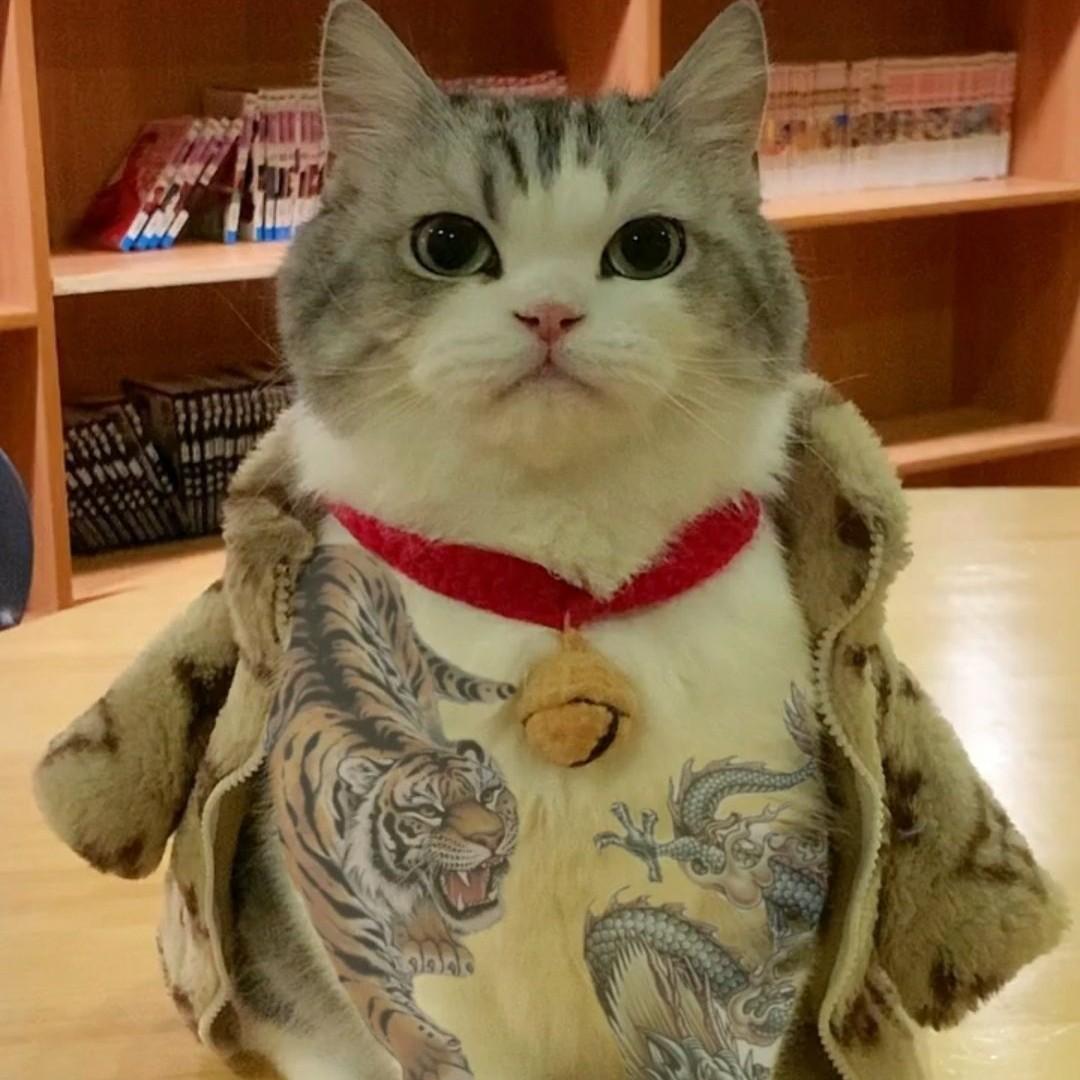 avatar