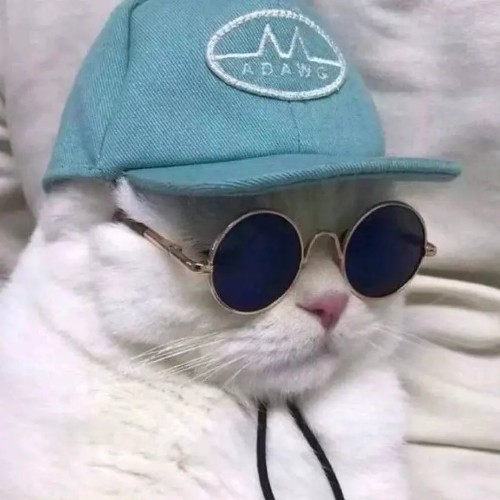 discusser-avatar