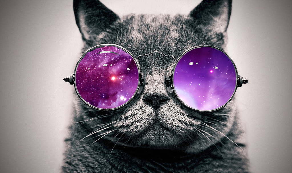 discusser-avatar