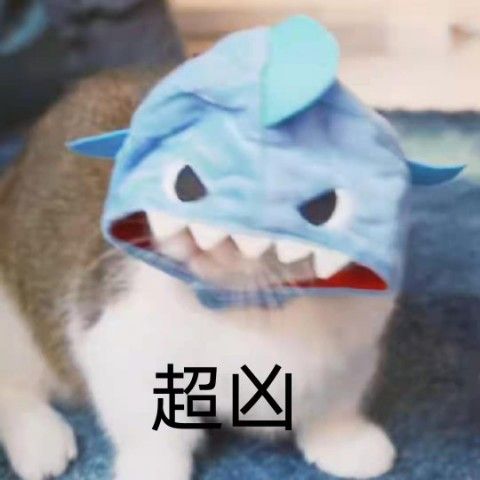 discusser-avatar