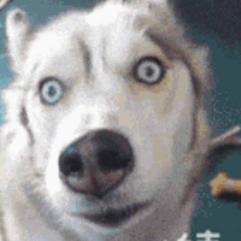 discusser-avatar