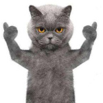 discusser-avatar