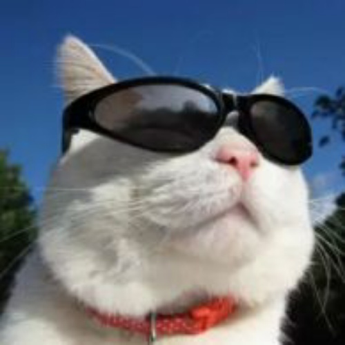 discusser-avatar