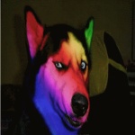 discusser-avatar