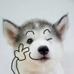 discusser-avatar