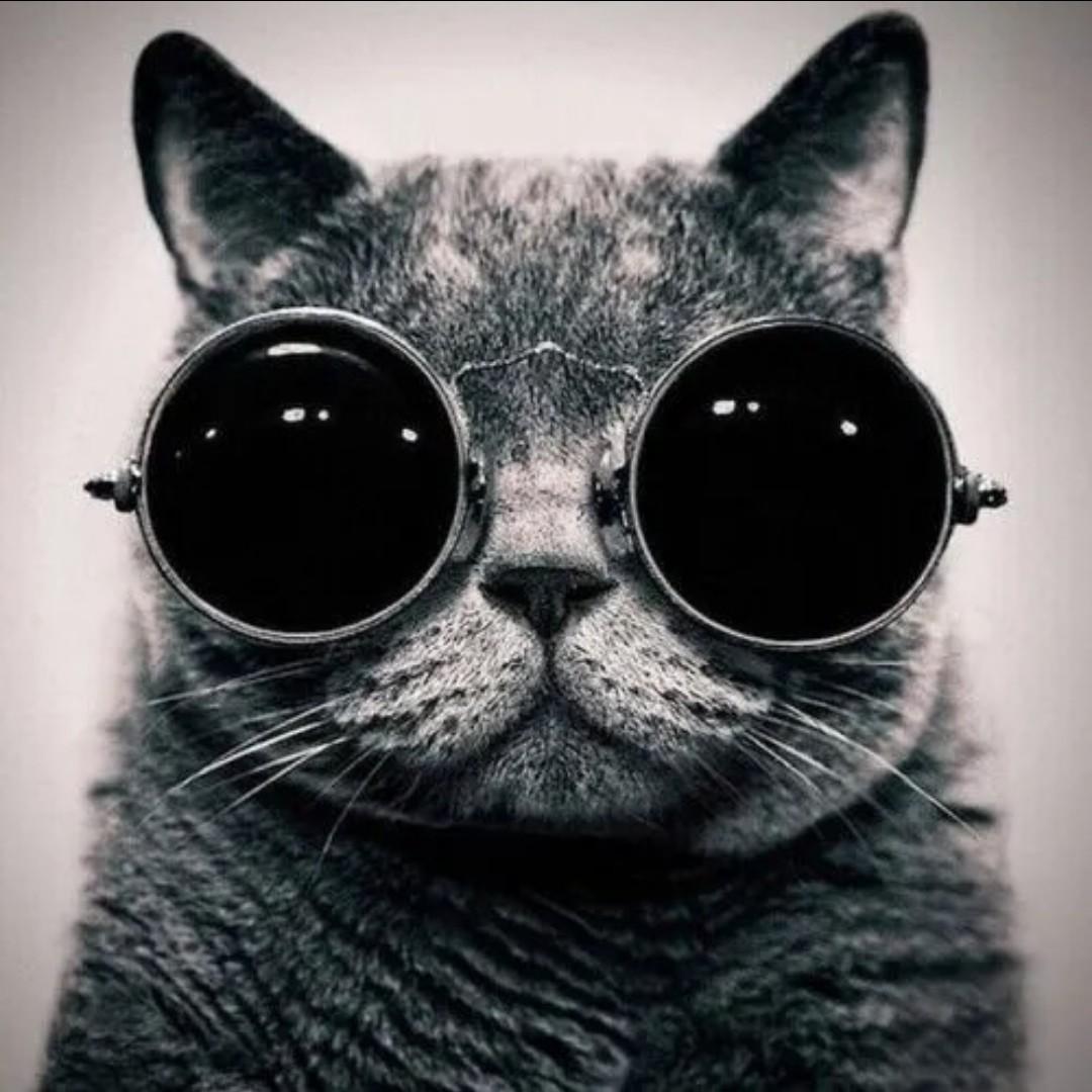 discusser-avatar